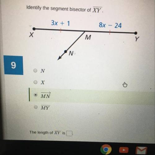 Identify the segment bisector of XY.
