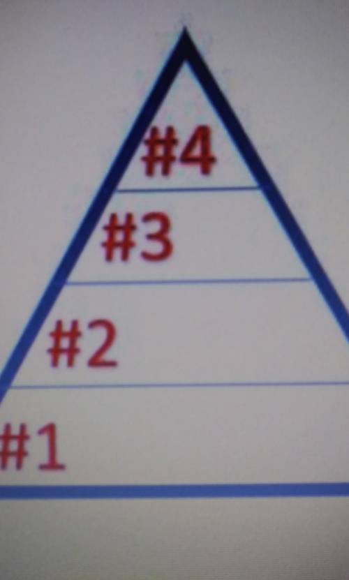 2. Look at the energy pyramid. Use the numbers to complete the correct location of each term. Use