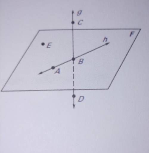 Are points A, B, and E are collinear if No why if Yes Why