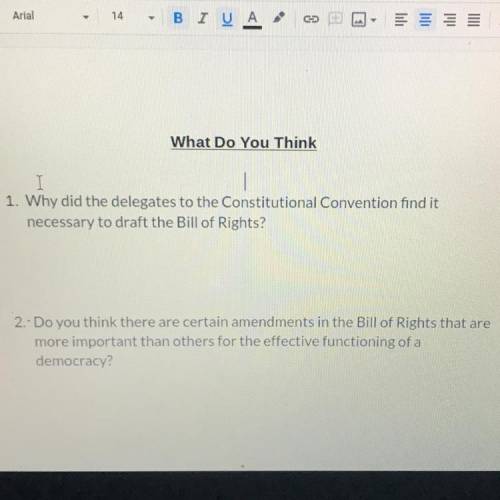 Bill of Rights questions