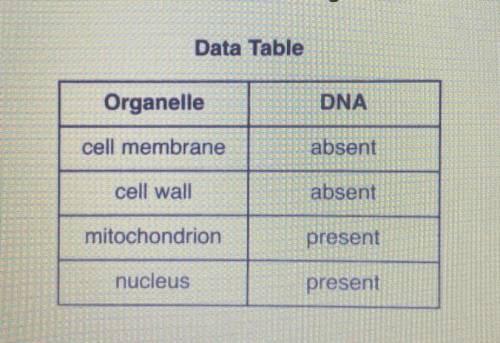 (20points)

 
The data table below shows the presence or absence of DNA in four different cell orga
