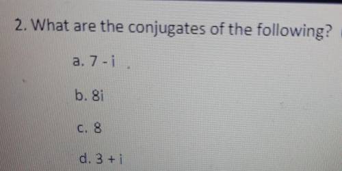 What are the conjugates of the following?