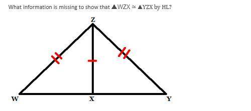 50 POINTS PLEASE HELP

 
A)WX≃YXB) and are right angles C) ≃ D)The triangles are not congruent.