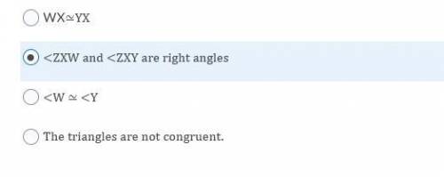 50 POINTS PLEASE HELP

 
A)WX≃YXB) and are right angles C) ≃ D)The triangles are not congruent.