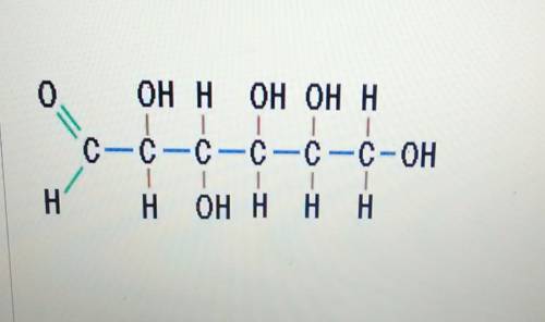 What compound is this?

Carbohydrates LipidsNucleic acids Proteins Can someone please help?