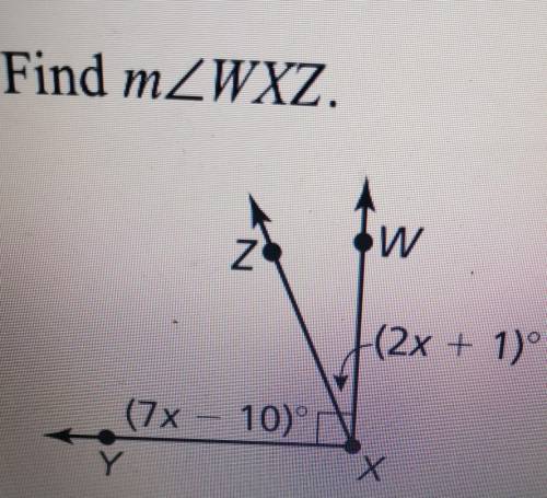 Find m (angle sign) WXZ.