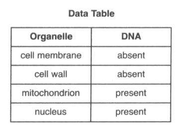 The data table below shows the presence or absence of dna in four different cell organelles. inform