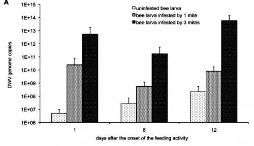 You have been trying to tackle the problem of honey bee colony collapse disorder, which has resulte