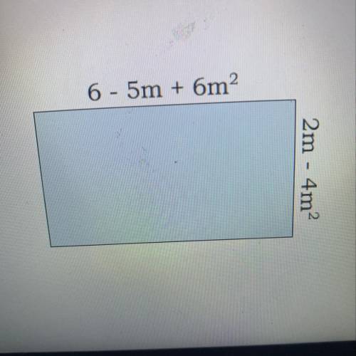 Find the perimeter of the rectangle.
