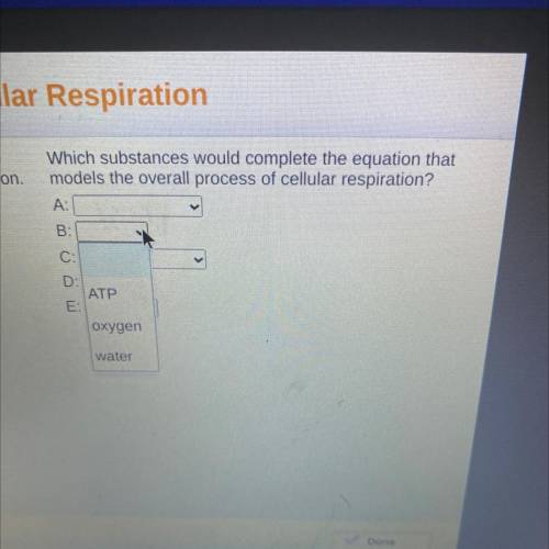 Which substances would complete the equation that

models the overall process of cellular respirat