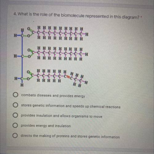 What is the role of the biomolecule represented in this diagram?