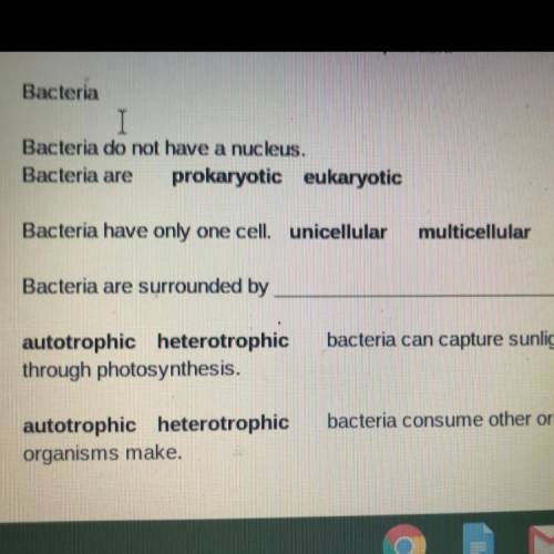 Bacteria are surrounded by?