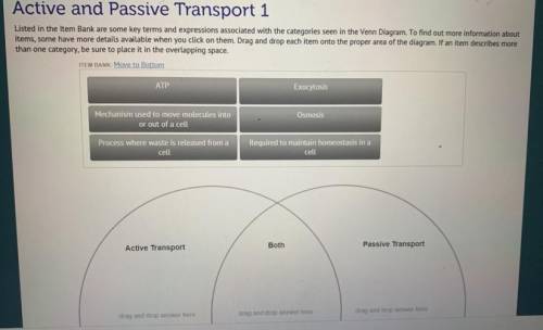 Active and Passive Transport 1 Listed in the Bank are some key terms and expressions associated wit