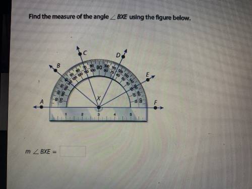 NEED HELP ASAP!!! find the measure of the angle BXE