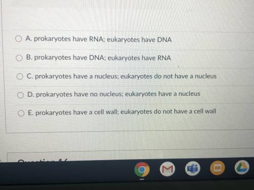 Prokaryotes and eukaryotes are different because: