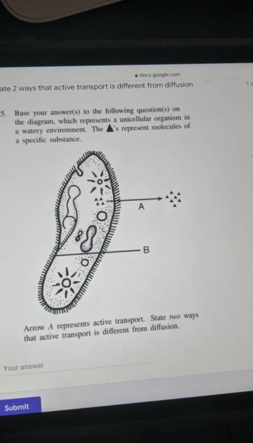 Base your answer(s) to the following question(s) on the diagram, which represents a unicellular org