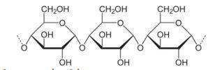 Identify the following carbohydrate:

Question 4 options:
monosaccharide
disaccharide
polysacchari