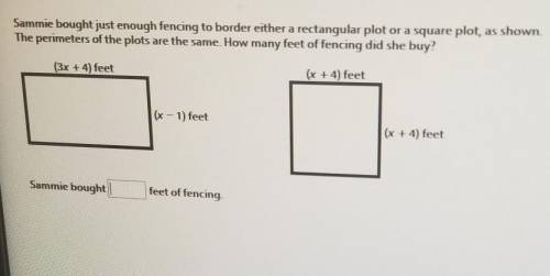 Sammie bought just enough fencing to border either a rectangular plot or a square plot, as shown. T