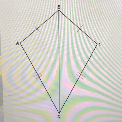 Look at the figure. How can you prove the triangles are congruent?

B
A
С
AABD - ACBD by the SSS P