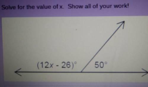 What is the value of x.