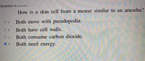 How is a skin cell from a mouse similar to an amoeba