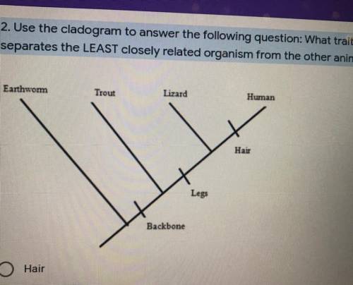 Use the cladogram to answer the following question: What trait

separates the LEAST closely relate