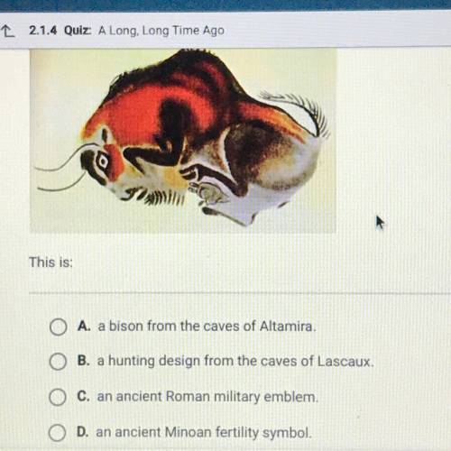 This is:

A. a bison from the caves of Altamira.
B. a hunting design from the caves of Lascaux.
C.
