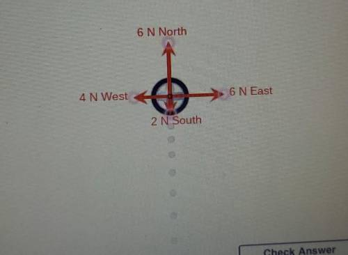 BRAINLIEST! Please help me out with this!! :(

Add two east west and two north south forces to the