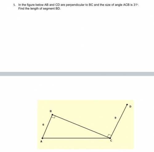 In the figure below AB and CD are perpendicular to BC and the size of angle ACB is 31. Find the len