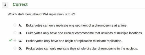 Which statement about DNA replication is true?

A. Eukaryotes can only replicate one segment of a