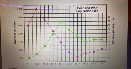 What is the relationship between the number of wolves and the number
of deer?
