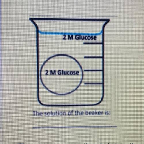 In which direction does the water flow in this cell environment? *

The solution of the beaker is: