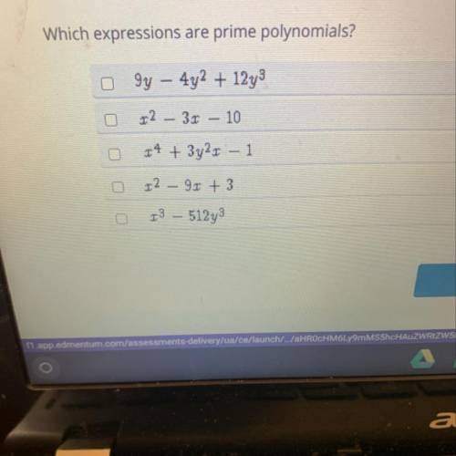 Which expressions are prime polynomials?