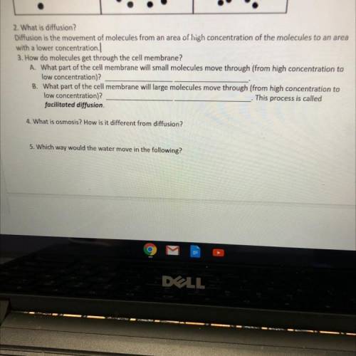Help please I need the answer ASAP.