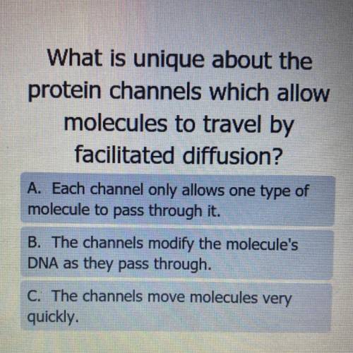 PLEASE HELPP❤️❤️❤️

Biology question 9th grade 5 points I really need help 
Check the picture for