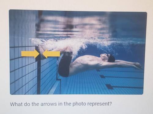 The photo shows a swimmer pushing off the side of a pool.

What do the arrows in the photo represe