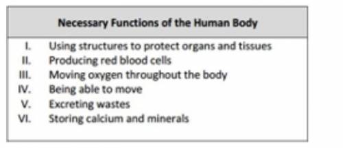 The table below lists bodily functions that are important for the survival of humans. Please identi