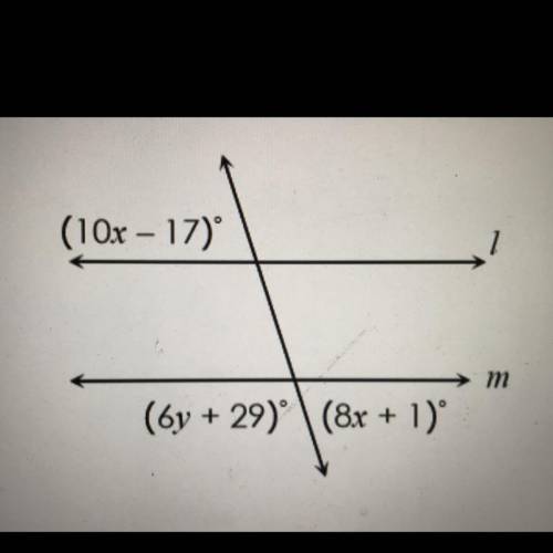 Line L is Parallel to Line M. Find the value of x and y (pls help asap)