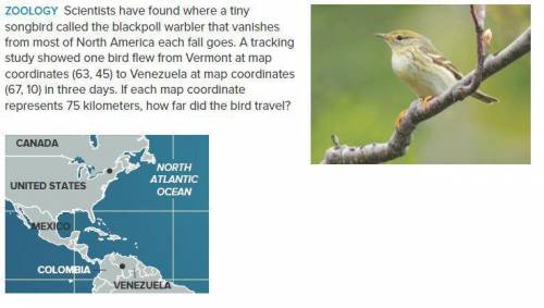 Scientists have found where a tiny songbird called the blackpoll warbler that vanishes from most of