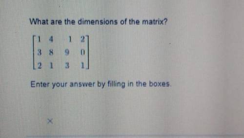 What are the dimensions if the matrix?i got 4x6 but i feel like its wrong