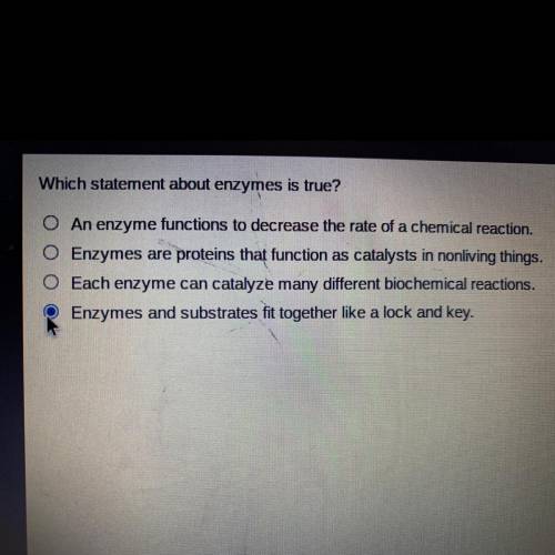 Which statement about enzymes is true?

O An enzyme functions to decrease the rate of a chemical r