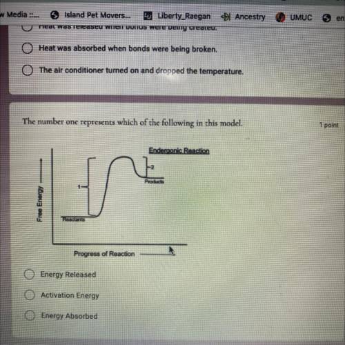 Need help quiz is here and this is the only answer I don’t know