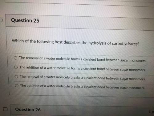 Which of the following best describes the hydrolysis of carbohydrates