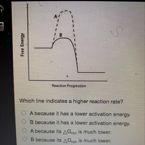 Consider the energy diagram below.
What is the correct answer