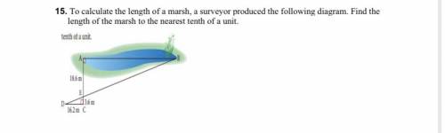 To calculate the length of a marsh, a surveyor produced the following diagram. Find the length of t