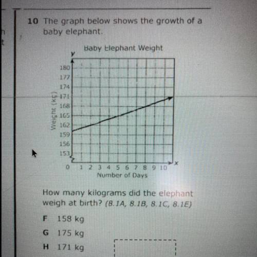 How many kilograms did the elephant
weigh at birth?