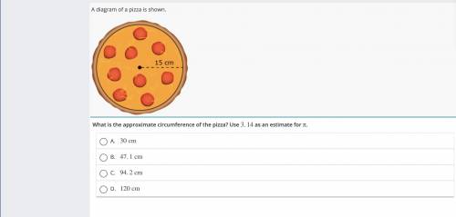 What is the approximate circumference of the pizza?