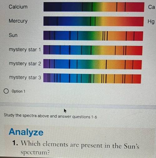 Sun

mystery star 1mystery star 2mystery star 3Option 1Study the spectra above and answer question