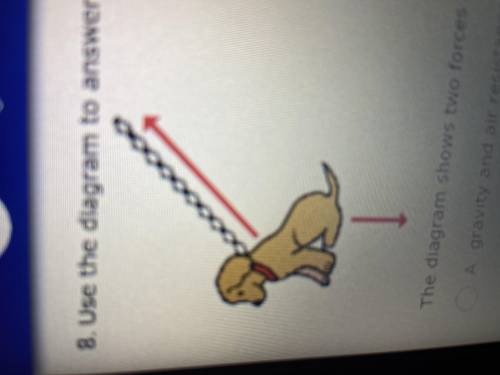 The diagram shows two forces acting on the dog. What are these two forces