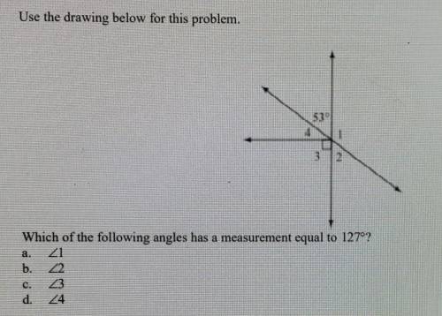 Please help! What is the answer to this question?